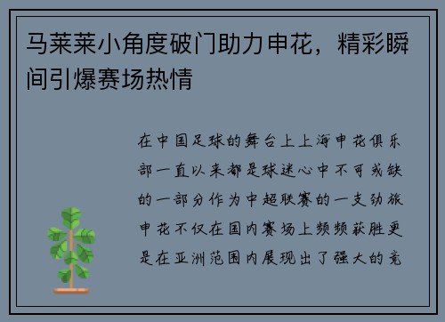 马莱莱小角度破门助力申花，精彩瞬间引爆赛场热情